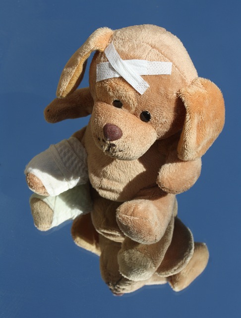 A therapy dog with a bandage on its leg.