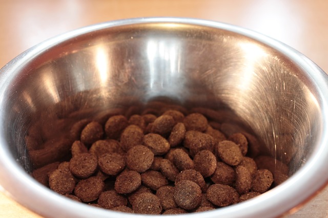 A bowl of dog food on a table.