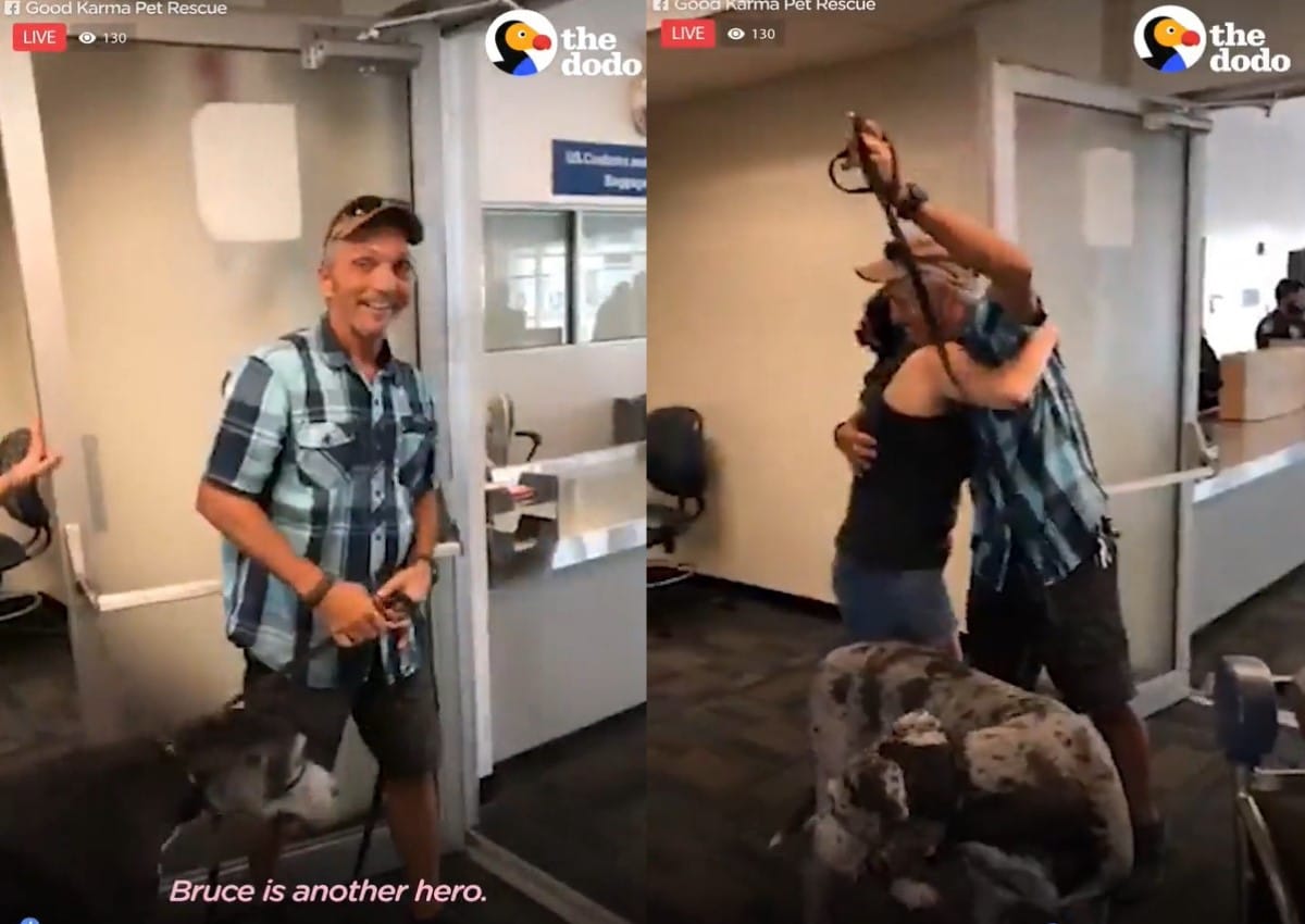 Two pictures of a man hugging a dog in an airport.