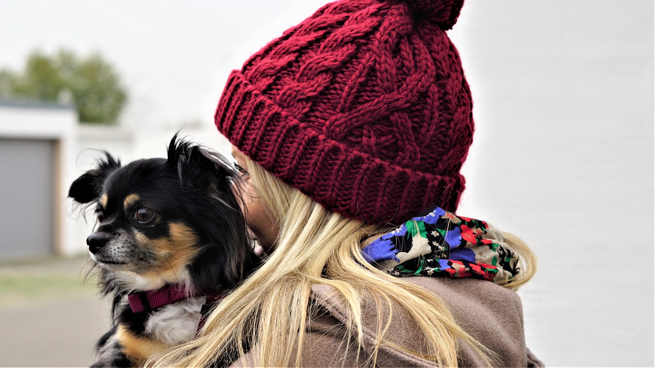 A woman wearing a red beanie with a chihuahua dog.