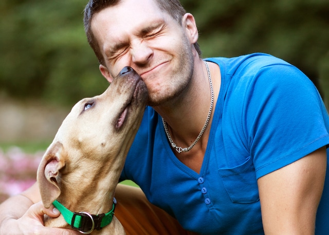 A man kissing his dog in the park.